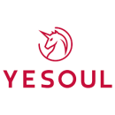 Yesoul discount code