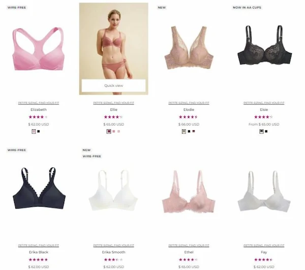the-little-bra-company