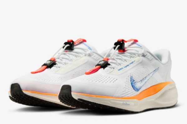 nike-pegasus-easyon-blueprint