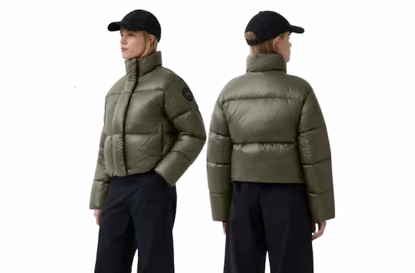 canada-goose