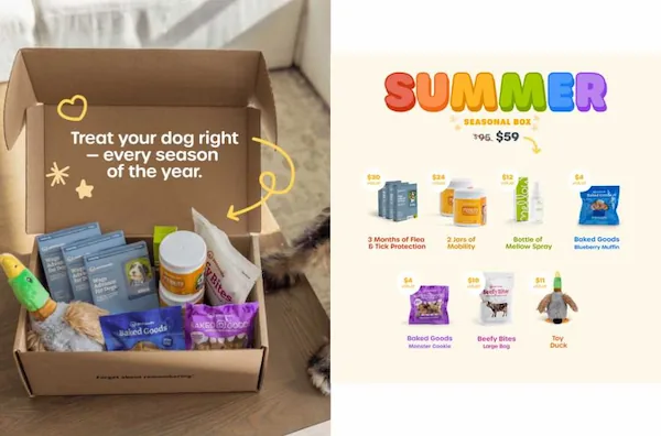 big-summer-deal