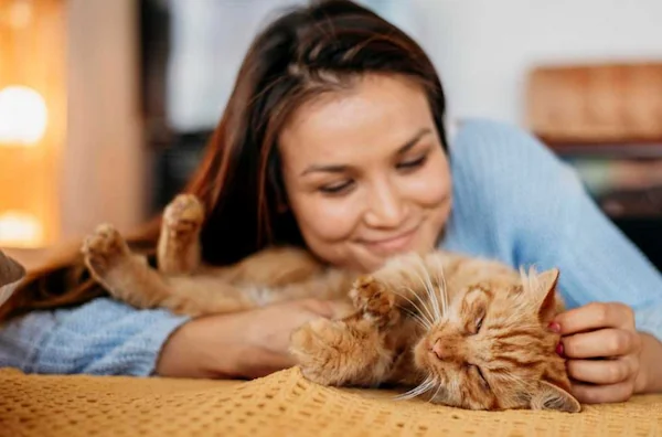 built-for-busy-pet-parents