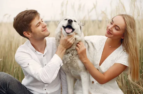 what-is-petfriendly