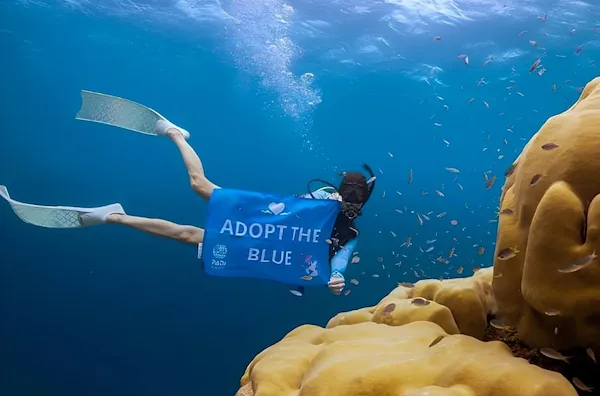 padi