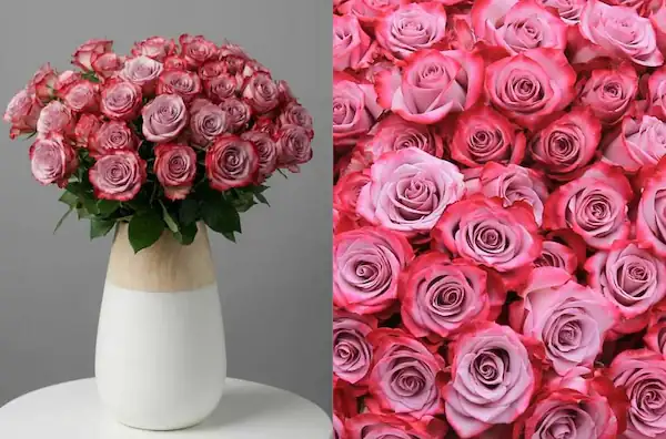 purple-love-rose-bouquet